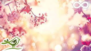 9 Hours of Relaxing Sleep Music • Soft Piano Music Fall Asleep Fast 98 [upl. by Isawk]