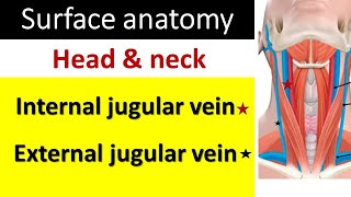 Surface marking of internal and external jugular vein [upl. by Aizatsana]