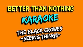 THE BLACK CROWES seeing things karaoke [upl. by Schiro80]