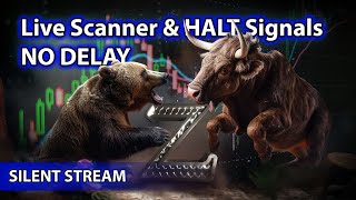 ​🌟Live Scanner Stock Market scanner  Silent Stream nodelay voice only 11082024 [upl. by Hope]