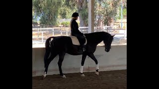 Walk Under Saddle 1st Ride with Clare UpquotJersey Beachquot [upl. by Alarick]