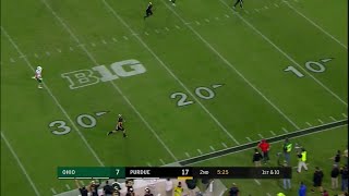 Cole Herdmans Touchdown Reception vs Ohio [upl. by Pinchas]