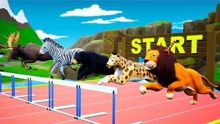 ANIMALS HURDLES RUNNING RACE  Animals Speed  Hurdle Racing  Animals Videos [upl. by Adnuahs]