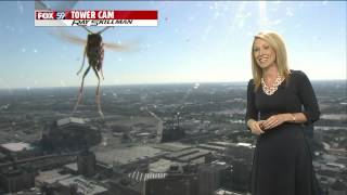 Bee attacks Meteorologist Jennifer Ketchmark during weather forecast [upl. by Rosalba348]