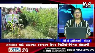 કૃષિનામોડેલફાર્મ પર તાલીમ અપાઈ krushi gujaratnews maanewslive [upl. by Anelrac]