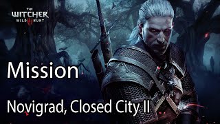 The Witcher 3 Mission Novigrad Closed City II [upl. by Ansilme609]