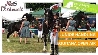 EQUITANA Junior Handling mit Action ✮ Teil 33 [upl. by Kaila298]