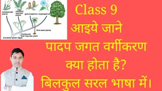 classification of kingdom plantae class 9 पादप जगत का वर्गीकरण vidio 58 [upl. by Bettencourt]