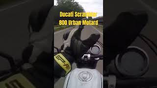 Ducati Scrambler 800 Urban Motard  Gioco a quotOk il prezzo è giustoquot 😅 [upl. by Yaj551]