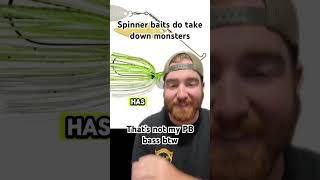 Am I right about spinner baits [upl. by Okuy]