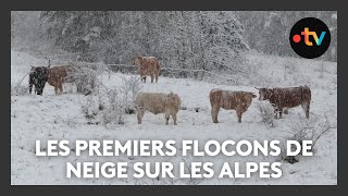 Premières neiges à basse altitude dans les Alpes du sud [upl. by Ahsinhoj597]