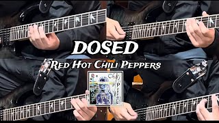 Dosed  Red Hot Chili Peppers  Guitar Cover [upl. by Dulciana912]