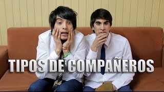 Tipos de Compañeros [upl. by Eussoj]