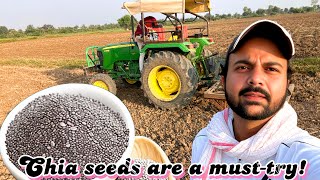 Kese lgate hai khet pe Chia Seeds [upl. by Lumbard788]