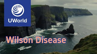 Wilson Disease vs Hemochromatosis vs Porphyria UWorld Notes USMLE USMLE Step 1 [upl. by Simpson]