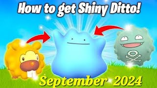 Pokémon Go Ditto Disguises List amp How to Find SHINY Ditto September 2024 [upl. by Ronile]