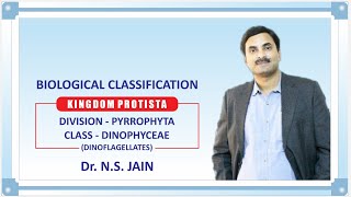 Kingdom Protista  DivisionPyrrophyta ClassDinophyceae Dinoflagellates Biological Classification [upl. by Hope]