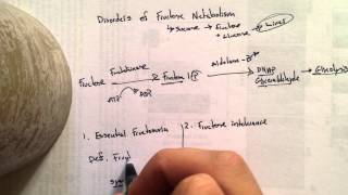 Disorders of Fructose Metabolism [upl. by Annadiane162]