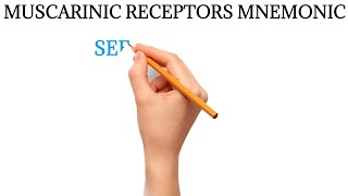 MUSCARINIC RECEPTORS MNEMONIC  How to remember muscarinic receptors [upl. by Ayotnom]