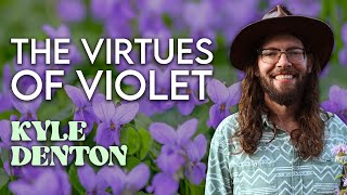 Benefits of Violet The Herb That Slipperizes  Kyle Denton [upl. by Stefanie]