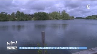 A Seignosse un étang noir et une nature magique [upl. by Aratas838]