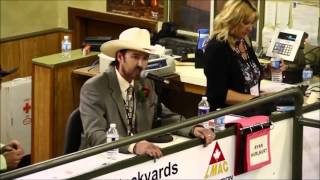 The Best Auctioneer  Rhett Parks [upl. by Pickett]