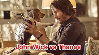 John Wick vs Thanos [upl. by Terti]