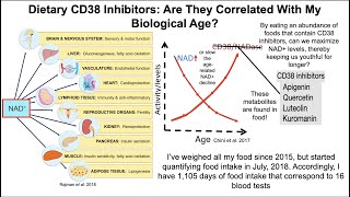 Dietary CD38 Inhibitors Are They Correlated With Biological Age [upl. by Allebram]