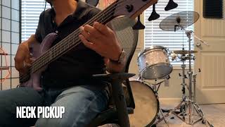 Dingwall Leland Sklar Signature Bass  Demo [upl. by Caswell]