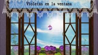 Audiolibro Violetas en la Ventana Médium Vera Lúcia Marinzeck de Carvalho espiritismo audiolibro [upl. by Siahc]