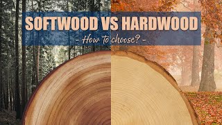 Softwood vs Hardwood  How to choose for WOODWORKING projects [upl. by Ignacio]