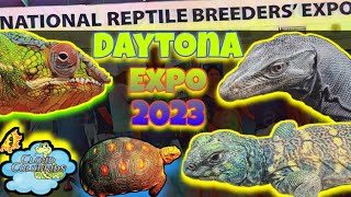 Daytona National Reptile Breeders Expo 2023 Largest Reptile Show Finale [upl. by Llenej]