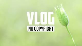 Rosol  Crystal Light Vlog No Copyright Music [upl. by Norrab]