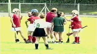 1995 Derry Intermediate Camogie Final  Dungiven v Ballerin [upl. by Anelis339]