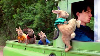 A Daring Rescue  Peter Rabbit  Movie Scene [upl. by Calisa]