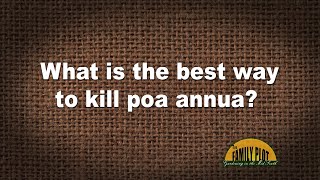 QampA – What is the best way to kill poa annua [upl. by Ahsitil]