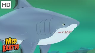 Wild Kratts  Sharks  Apex Predators of the Oceans [upl. by Lynett]