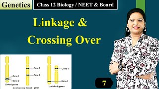 Linkage and Crossing Over Class 12 Biology  Genetics  English [upl. by Atekal]