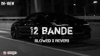 12 bande slowedreverb perfectly reverbed [upl. by Mountfort]