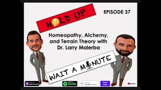 Homeopathy Alchemy and Terrain Theory DocMalerba Interview [upl. by Anawat627]