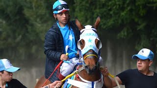 El Tabaquito  Sebastián Almendras quotEl Cuarto De Millaquot Corridos De Caballos [upl. by Iredale]