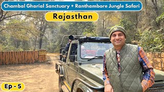 EP5 Sawai Madhopur Ranthambore Rajasthan  Chambal Gharial Sanctuary  Tikkar roti Rajasthan [upl. by Reagen]