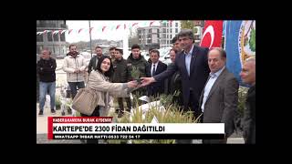 KARTEPEDE 2300 FİDAN DAĞITILDI [upl. by Jaddo]