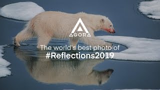 The worlds best photo of Reflections2019 Paal Uglefisk [upl. by Hemminger399]