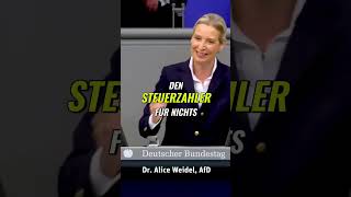 Warum Deutschlands Entwicklungshilfe Milliarden verschwendet afd weidel [upl. by Renmus758]