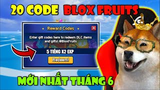 Tổng Hợp 20 CODE X2 Kinh Nghiệm Và Reset Chỉ Số STAT Mới Nhất Tháng 6 Trong Blox Fruit  Roblox [upl. by Wooldridge]