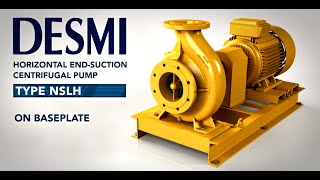 DESMI Vertical NSLV and Horizontal NSLH EndSuction Centrifugal Pump [upl. by Ilil]