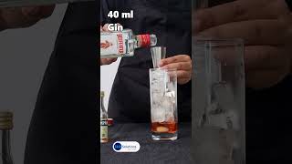 Campari Gin Tonic in 60 Seconds  Bold amp Bitter Cocktail [upl. by Ringo]