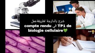 شرح بالدارجة لطريقة عمل compte rendu في TP1 de biologie cellulaire سنة اولى تخصص بيولوجي L1 Snv s1 [upl. by Aisatal304]