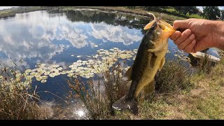 A quick afternoon Bass session at Pienaar dam Middelbug Mpumalanga [upl. by Omer867]